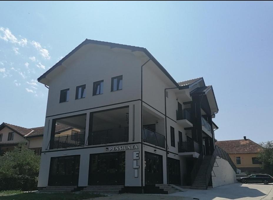 Pensiunea Eli Buziaş Dış mekan fotoğraf